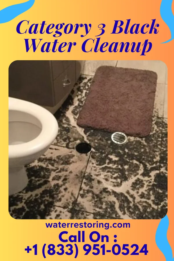 Category 3 Black Water Cleanup in Marysvale, UT