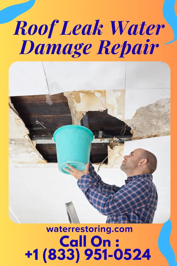 Roof Leak Water Damage Repair in Marysvale, UT
